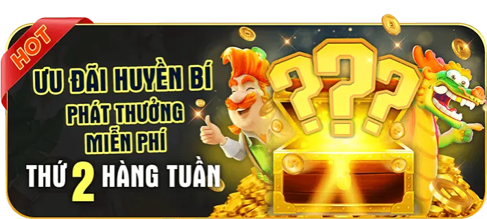Trải nghiệm trực tiếp sống động